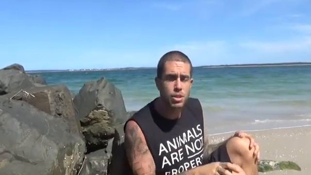 Life As A Vegan смотреть онлайн