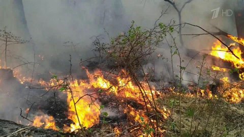 В Рязанской области удалось отстоять от природного пожара деревню Култуки