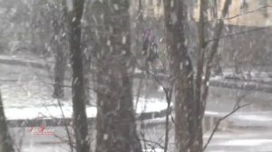 Санкт-Петербург.Снег в апреле