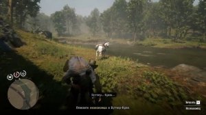 Как попасть в закрытую часть пещеры под водопадом Территория безумцев RDR2