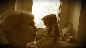 Котенок ест мороженое / Kitten eating ice cream