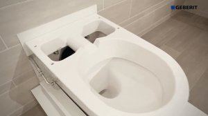 Geberit AquaClean Sela подключение - biobidet.ru