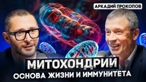 Аркадий Прокопов. Что скрывают ваши митохондрии? Доктор Дзидзария о старении и хронических болезнях