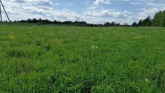 Металлокоп2022... купил себе обнову...