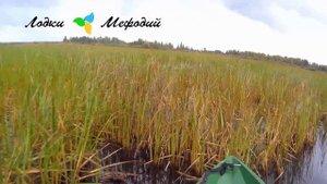 Лодки Мефодий  Лиман 450