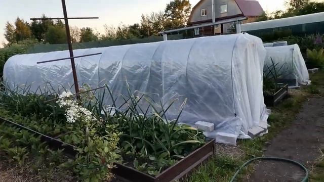 Прогулка по розовым посадкам. Новая шпалера для кашпо, обустройство участка. Хроники летнего дня смотреть онлайн