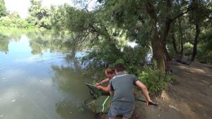 ЛОВЛЯ ДИКОГО САЗАНА НА КУБАНИ(река КУБАНЬ)!РЫБАЛКА С НОЧЕВКОЙ.ЗАПЕЧЕННЫЙ КАРТОФЕЛЬ В УГЛЕ!!!