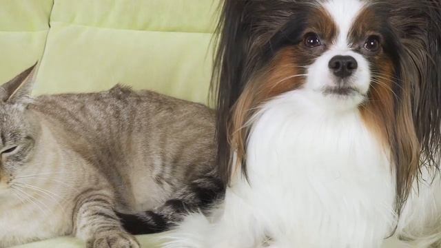 ЮКИ - Сонник? Сериалити от ЮКИ 84 серия смотреть онлайн