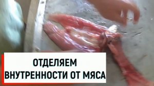 Как приготовить балык из жереха