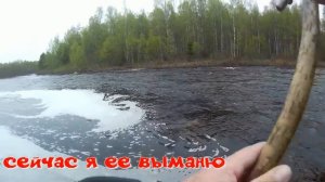 Форель на спиннинг/ вертушка MEPPS в деле/