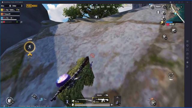 Chicken 2021 01 25 01 45 48 смотреть онлайн