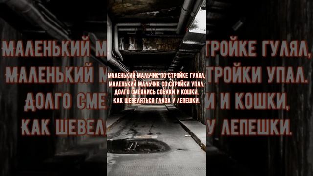 Кошки смеются и не только #стишки #юмор #черныйюмор #маленькиймальчик