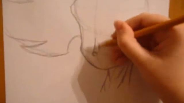 Как нарисовать Нила Звезду (NeiL StaR - drawing) смотреть онлайн