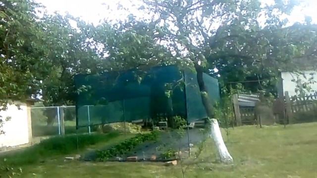 ?Поспевает вишня.?Натянули сетку. Прогулка по заливу. смотреть онлайн