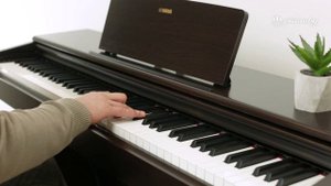 Обзор пианино Yamaha YDP 144