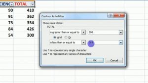 How To USe Custom Filter Option In Ms Excel in Hindi