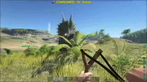 ARK Survival Evolved первый уровень