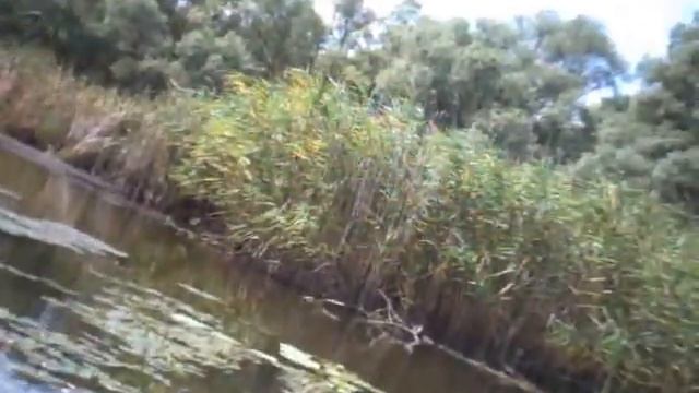 Покатушки на каяках на Хортице смотреть онлайн