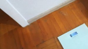 Сколько весит ШПИЦ ? Как взвесить собаку в домашних условиях