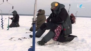 Ловля плотвы и окуня в феврале.