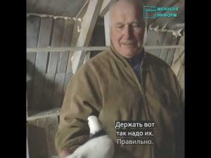 Голубевод Владимир Пузырев рассказал об исчезающем увлечении мензелинцев