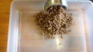 рулет из говяжей печени