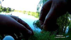 Бутерброд из опарышей и кукурузы для рыбалки