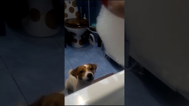 Пенная забава с Аббигель, смотреть со звуком) смотреть онлайн