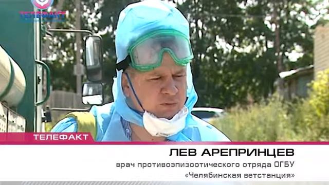 Как работает Челябинская ветстанция. Сюжет Телефакт от 25.06.19.