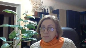 Китайская роза, как размножить?