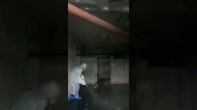 Дезинфекция подвала и уничтожение блох - Единая городская дезслужба (СЭС) Дезклоп
