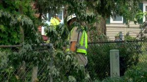 Community finding positives, recovering from tornadoes, storms | WTOL 11 News Team Coverage, 5 p.m.