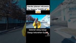 Karoke Jalanan Di KOREA "CAMELIA"