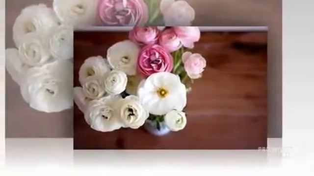 Где заказать букет цветов с доставкой смотреть онлайн