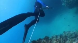 Макаревич подводная охота.