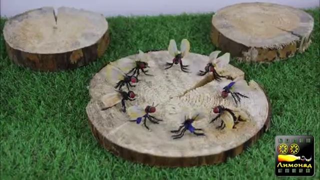 Танец мух смотреть онлайн