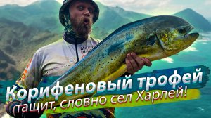 Этот ПАРОВОЗ смотал 200 метров шнура! ТРОФЕЙ с берега моря. Морская рыбалка. Сёрфтроллинг.