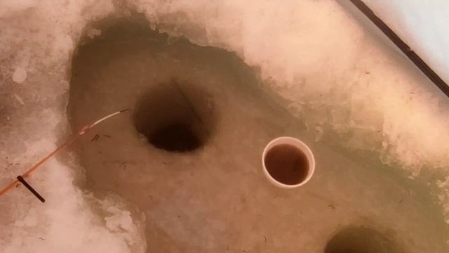 Гребной канал , ловля плотвы , рыбка есть, рыбка ест смотреть онлайн