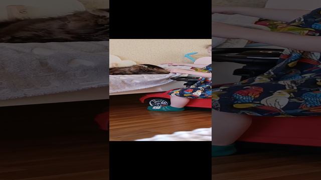 Милота дня ❤ Кот и дочь #shorts #детииживотные #любовь #семья