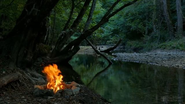 Удобрение из яичной скорлупы для комнатных цветов смотреть онлайн