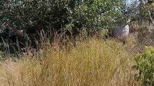 КБР, Прохладный, 2023.