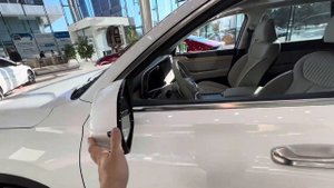 Hyundai Palisade 2023 - Calligraphy максимальная комплектация, полный обзор.