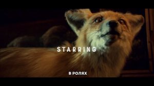 Кабинет редкостей Гильермо дель Торо Русский тизер-трейлер (1-й сезон)Сериал 2022 (Netflix)