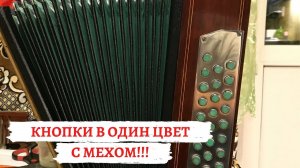 Тульская гармонь в новом стиле!!!