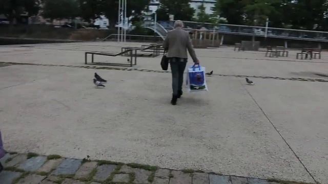 Когда люди уходят приходят звери.. Страсбург смотреть онлайн