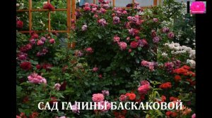 ПАМЯТИ ГАЛИНЫ БАСКАКОВОЙ