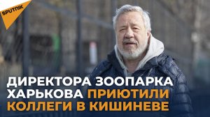 Как директор харьковского зоопарка нашел в Кишиневе приют и друга Карлушу