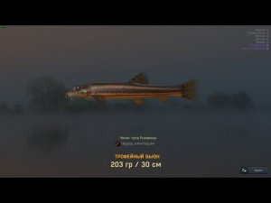 Fisher Online ЧЕХИЯ ВЬЮН