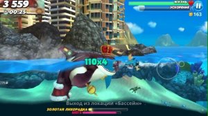 Касатка акула