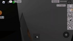 Я первый раз играю в roblox\Брукхейвен?